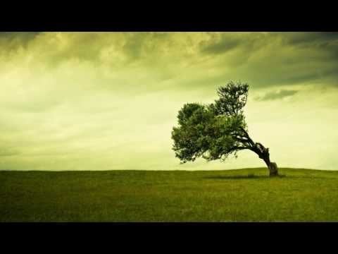 Видео: Скрябін - Соло