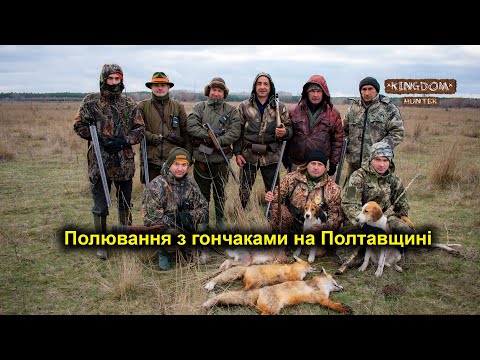 Видео: Полювання з гончаками на Полтавщині