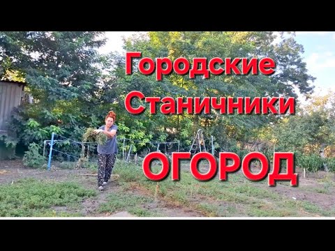 Видео: Простая жизнь в станице на Кубани. Работать нельзя.А мы работаем.