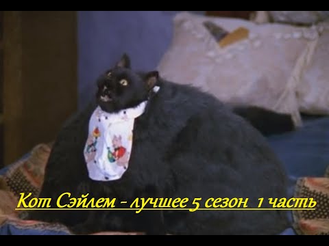 Видео: Кот Сэйлем - лучшие 5 сезон 1 часть (Сабрина - маленькая ведьма)