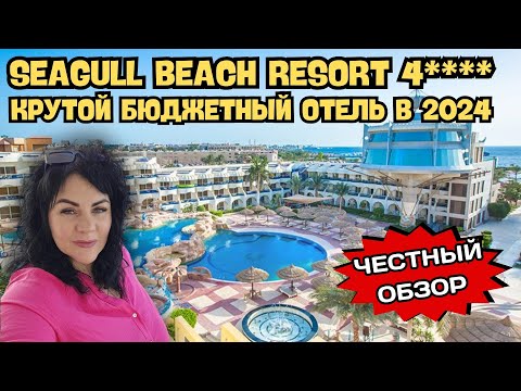 Видео: ОТЕЛЬ В ХУРГАДЕ SEAGULL BEACH RESORT. ИДЕЛЬНАЯ БЮДЖЕТНАЯ ЧЕТВЕРКА В 2024 ГОДУ?