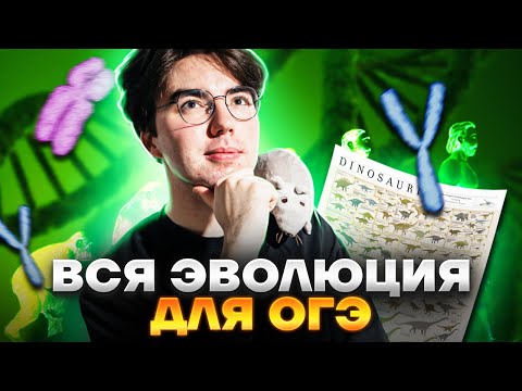 Видео: Все доказательства эволюции для ОГЭ | Биология ОГЭ 2023 | Умскул