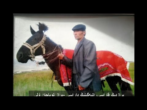 Видео: ат баптау #ат бегі#аттар #horse #лошадь #at #жылқы #байге #kg #kz #аламан #аттар#қазақстан #қытай