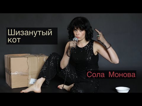 Видео: Шизанутый кот