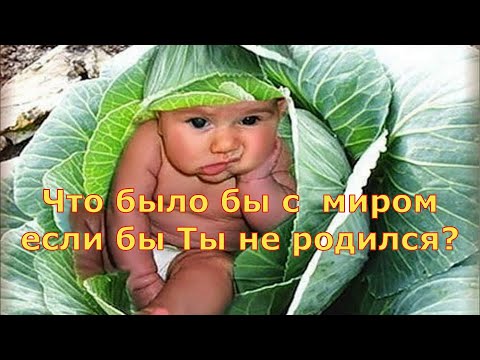 Видео: Что бы было если ты не родился