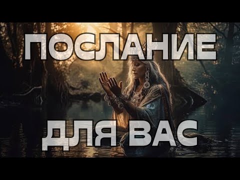 Видео: 🚨ПОСЛАНИЕ ДЛЯ ВАС💬📝