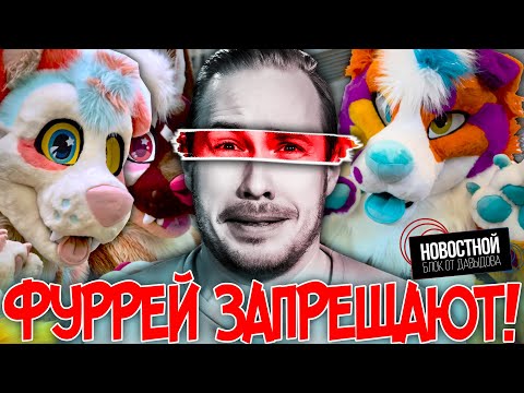 Видео: ЗАПРЕТ ФУРРЕЙ | Как избавиться от новогодней ёлки | Здравого смысла не существует!