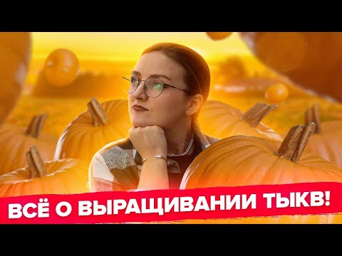 Видео: ВСЕ О ВЫРАЩИВАНИИ ТЫКВЫ! Тыква которая хранится 7 лет!