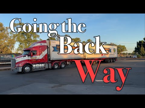 Видео: За черным пнем