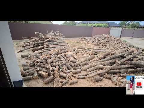 Видео: Недельный влог/сухость в Молдове/Урожай/Работа и ещё раз работа