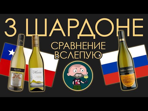 Видео: 3 Шардоне по 500р. Сравнение вслепую.