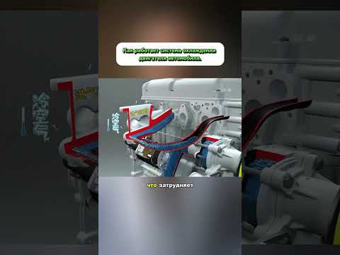 Видео: #automobile #w211club #рекомендации #duet #w20e #rec #ppfprotection #rek #mercedese220 #mercedes