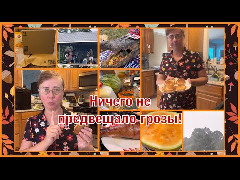 Видео: VLOG #18. ИИ составил рецепт оладушек. Амиши: что продают и сколько стоит. А потом грянула гроза!