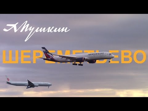 Видео: Гиганты в Шереметьево. Споттинг