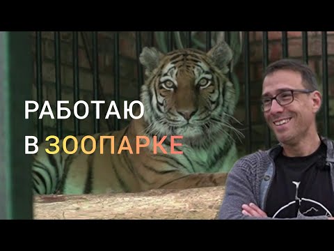 Видео: Зоопарк: все тонкости работы.