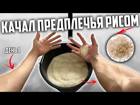Видео: 30 ДНЕЙ ПОДРЯД КАЧАЛ ПРЕДПЛЕЧЬЯ РИСОМ, ВОТ ЧТО ВЫШЛО!
