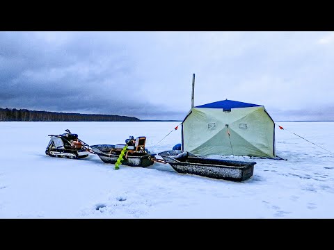 Видео: ЭТА НАЖИВКА РУЛИТ! ПОПАЛИ НА ВЫХОД СУДАКА. ЧУДО-РЫБИНА НУПАГАЛА ДО СМЕРТИ! РЫБАЛКА С НОЧЕВКОЙ.