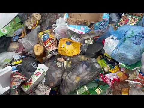 Видео: Находки на свалке, как это начиналось. Витёк мусорщик