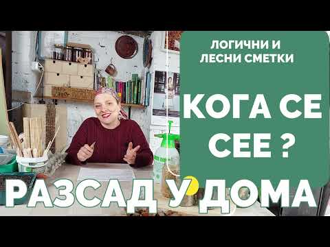 Видео: Кога се сеят семената за разсад? Срокове на покълване, вегетационен период, засаждане на разсада.