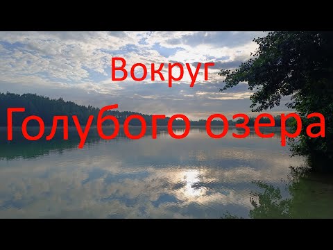 Видео: Нерыбалка. Вокруг Голубого озера. д. Золотово. 09.08.2024.