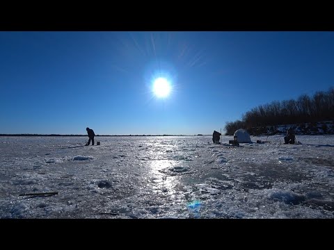 Видео: Рыбалка в Амурской области. Благовещенск, водозабор.