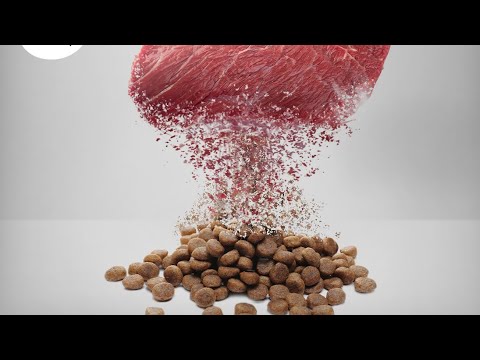 Видео: Урок 3. % белка в корме. Сколько выбрать?