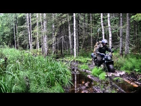 Видео: Удачная рыбалка #127