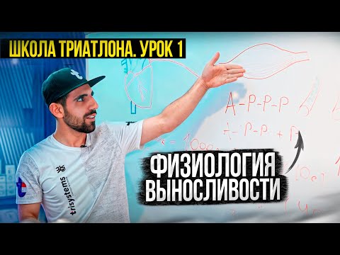 Видео: Физиология выносливости и силы. Школа триатлона: урок 1.