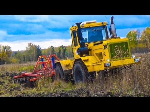 Видео: ДВА КИРОВЦА  корчуют заросшие поля агрегатами  БДТ-5ПР!