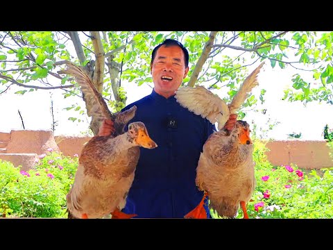 Видео: 2. Жирная утка, тушенная в соусе из красной лавы! Легко рвется вручную | Uncle Rural Gourmet