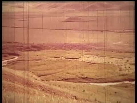 Видео: Унгуртас 70 - года