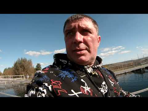 Видео: Рыбалка на удочку в Саратовской области.