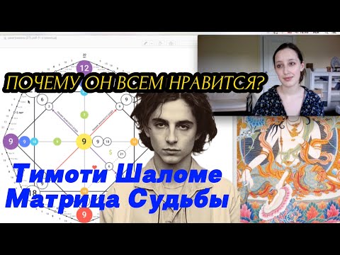 Видео: МАТРИЦА СУДЬБЫ ТИМОТИ ШАЛАМЕ. ПОЧЕМУ ОН ВСЕМ НРАВИТСЯ? 9 АРХЕТИП "ОТШЕЛЬНИК"