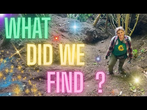 Видео: Что я нашел зарытым в лесу?