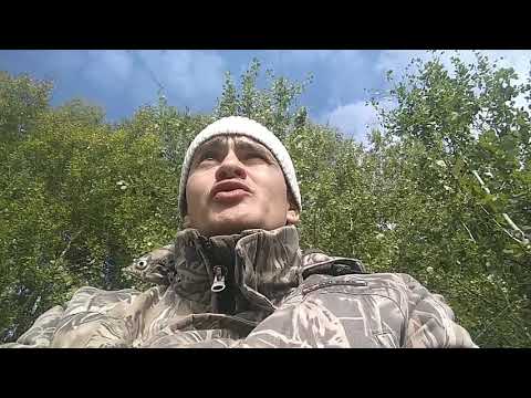 Видео: 60 голов КРС одному реально. Часть 2. Выращивание