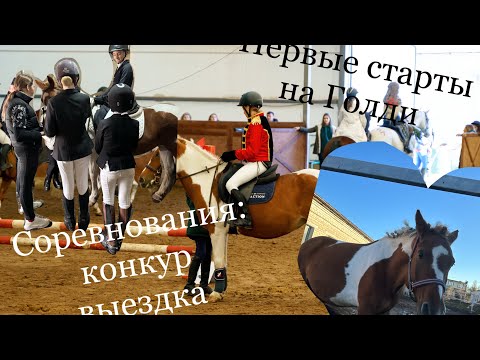 Видео: Соревнования по конкуру! Кск Премьер🔥 Первые старты на Голди 🥳🥳🥳