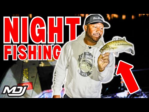 Видео: Эти рыбы заставили меня танцевать (Ночная рыбалка)