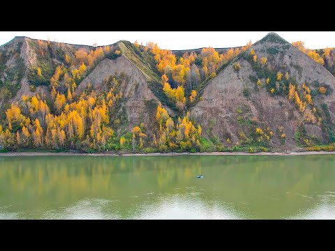 Видео: КОГДА УМЕЕШЬ - НИЧЕГО НЕ МЕШАЕТ! ДВЕ НОЧИ НА ОБИ, Щуки, судаки, кухня и ГИТАРА! РЫБАЛКА УДАЛАСЬ