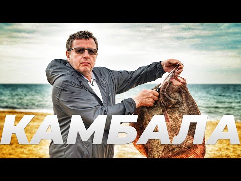 Видео: ПРАЗДНИЧНАЯ КАМБАЛА