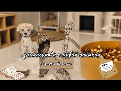 Видео: Знакомства с новой бумажной собакой.🐶 История Саймона. Что он скрывает? 🤔
