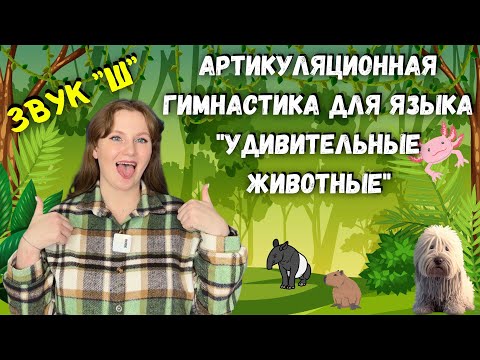 Видео: Артикуляционная гимнастика для языка для звука "Ш" | Самые удивительные животные