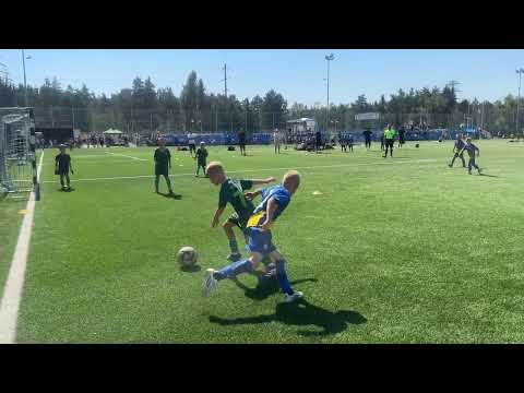 Видео: ФК Динамо (сині) 2018 - FC Wolves 2018. 7:2. Dynamo Kyiv Cup 2025.