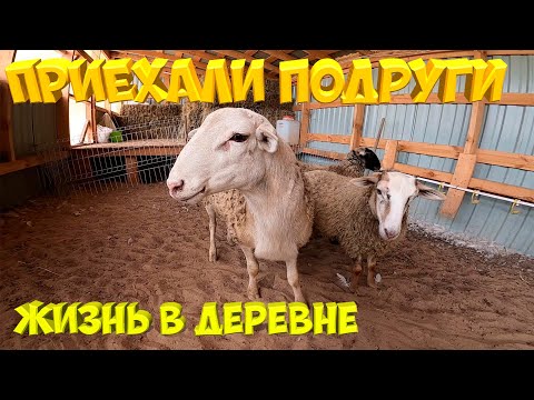 Видео: Приехали подруги .  [Жизнь в деревне]