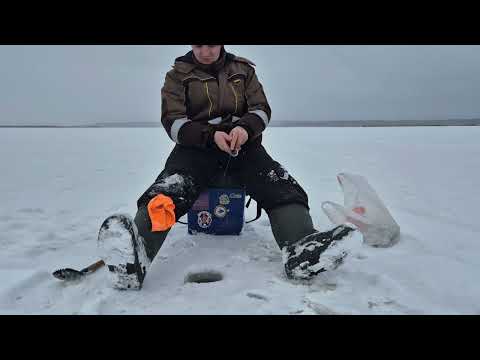 Видео: Два дня на Рузе: Осташево, Курово – приключения и рыбалка.