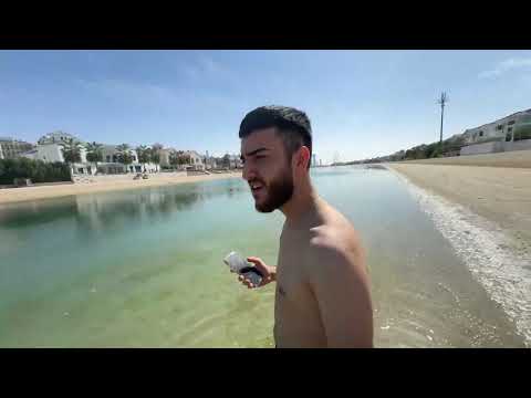 Видео: 🍌10.02.2025 | 1/2 | Стая. ШУМИМ В ДУБАЕ С Shadowkekw, Skillz0r1337, Evelone, Zloyn, Ct0m, Ekatze