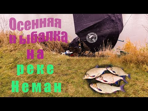 Видео: Осенняя рыбалка фидером на реке Неман. Зимний фидер на реке.Ловля язя и леща на фидер поздней осенью