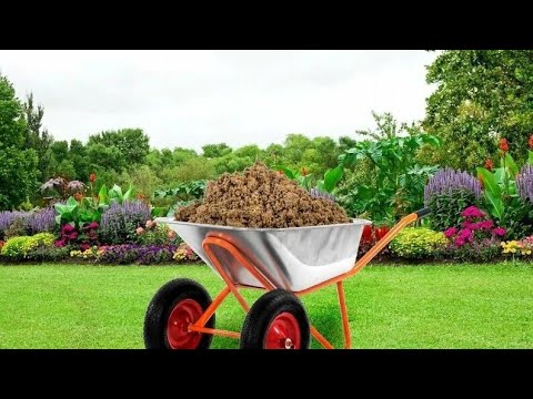 Видео: КУПИЛИ ДЛЯ ДАЧИ КЛАССНУЮ ВЕЩЬ