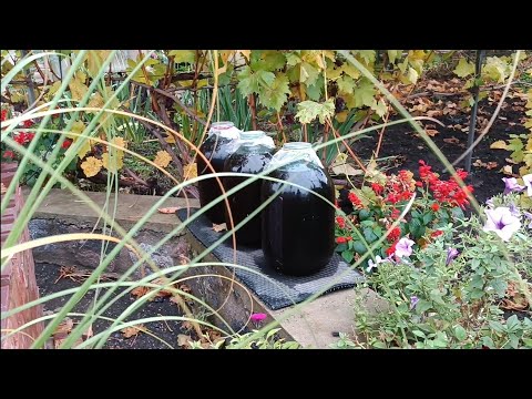 Видео: Мадера по домашньому.  Вдалий досвід 