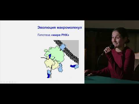Видео: «Эволюция коммуникации — от молекулярной до научной». Лекция Анны Левиной