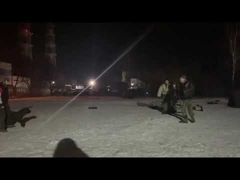 Видео: На хозяина напали... Кане корсо Голд Стар Из СА. Работа на защиту, сценарий 1.